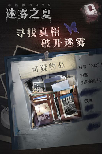 迷雾之夏截图1