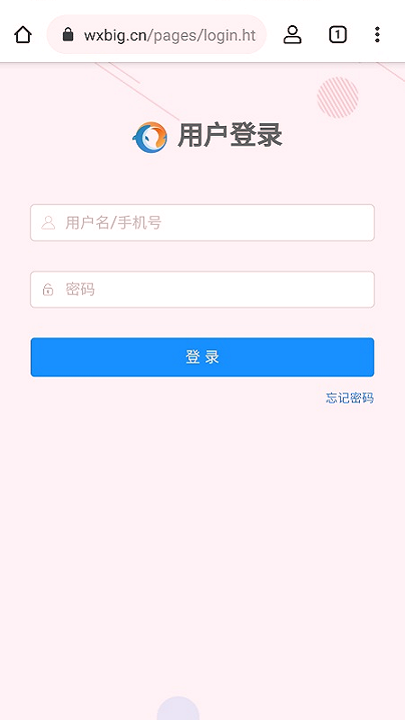 无极浏览器截图1