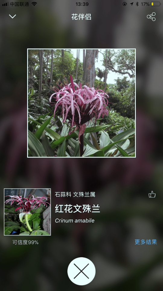 花伴侣截图3