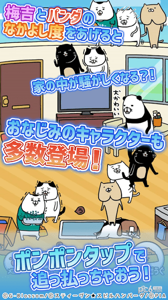 熊猫与狗狗的美好人生截图3