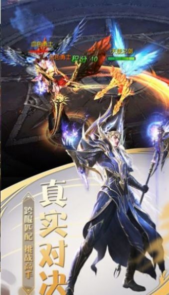 圣灵之境截图1