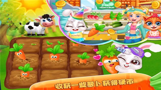 宠物美容院截图2