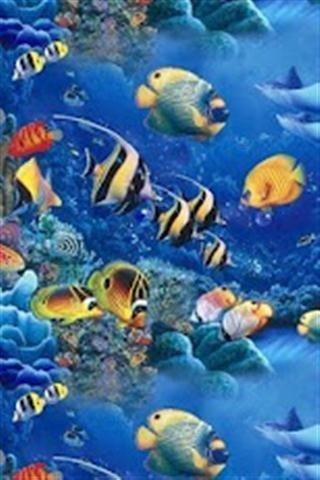 飞翔的鱼截图3