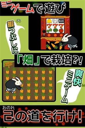 兔子组红顶之家截图3