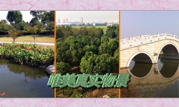 找茬达人王截图2