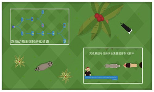 动物进化论截图2
