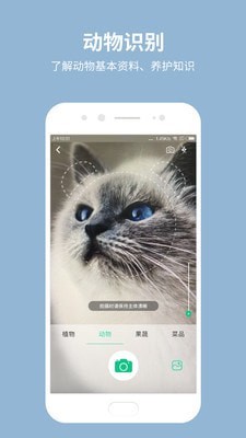 拍照识花截图1