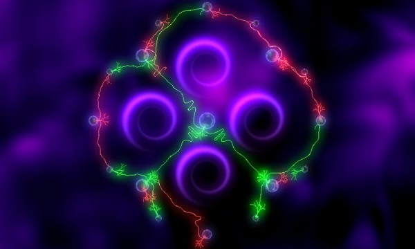扎根于此截图4