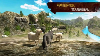 荒野狼生存模拟截图2