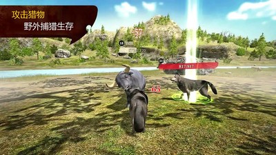 荒野狼生存模拟截图3
