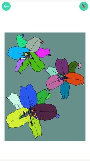 植物填色画画截图3
