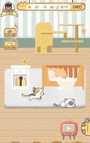 猫宅97截图2