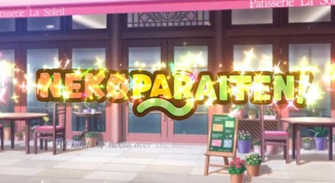 猫娘乐园来店截图2