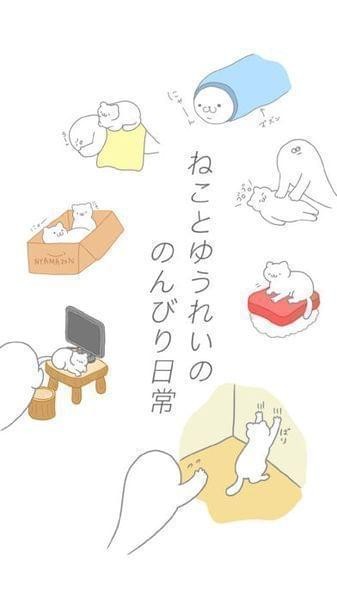 猫真可爱截图4