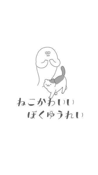 猫真可爱截图1