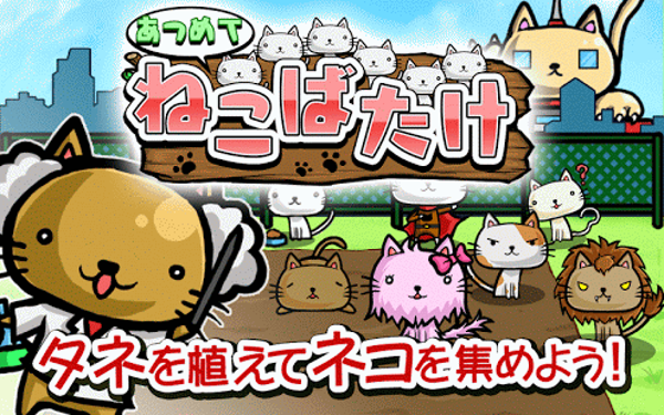 猫田截图1
