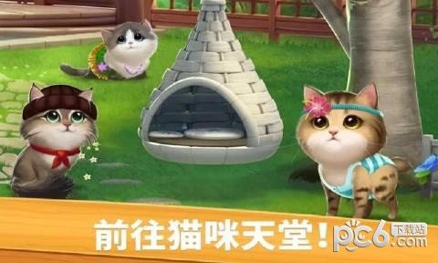 猫咪比赛截图2