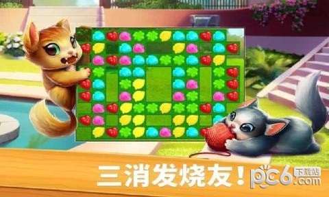 猫咪比赛截图1