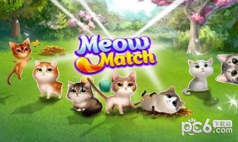 猫咪比赛截图3