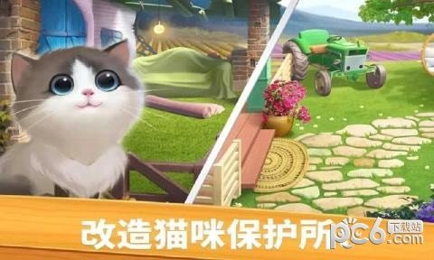 猫咪比赛截图4