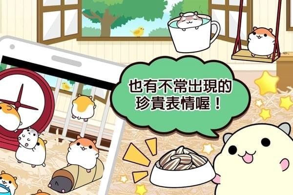 仓鼠收集九游版截图1