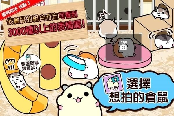 仓鼠收集九游版截图3
