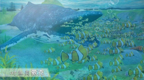 天天养鲸鱼截图2