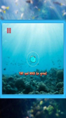 小小斗鱼截图3