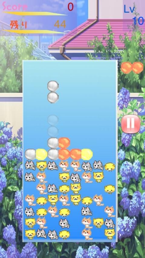猫医生截图1