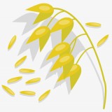 金穗园农场