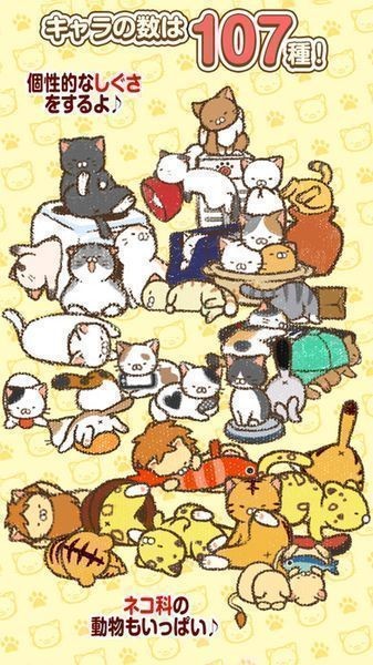 家猫成堆截图3