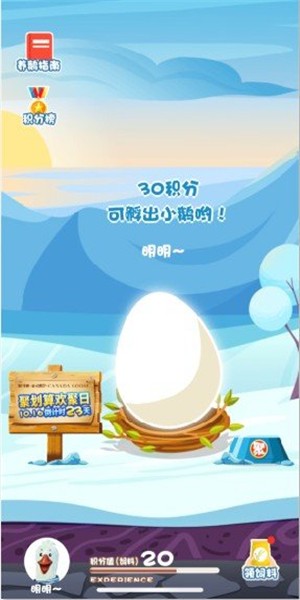 养鹅过冬截图1