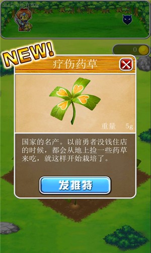 王国的药草师截图3