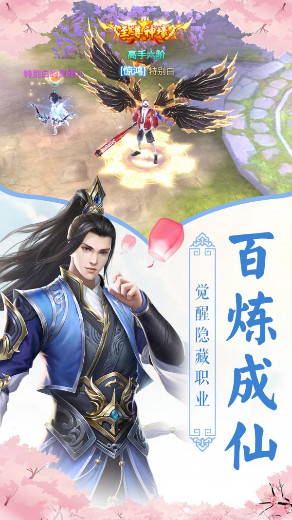 仙际云霄录截图1