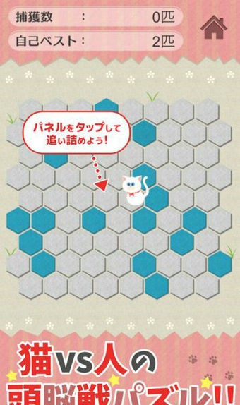 请找到我的白猫截图2