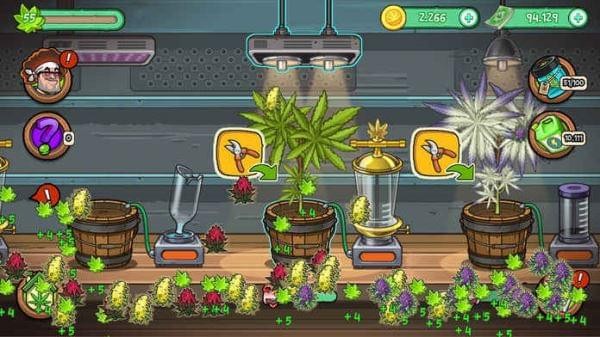农场植物种植截图2