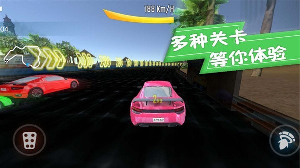 赛车挑战赛截图3