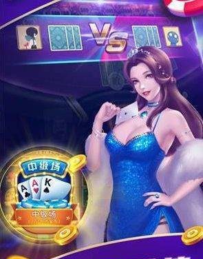哈局十三张官网版截图1