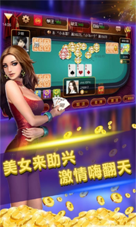 二十一点纸牌截图2