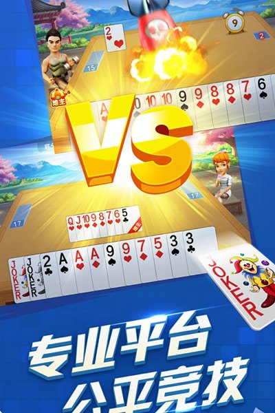 不联网单机斗地主免费版安装截图2
