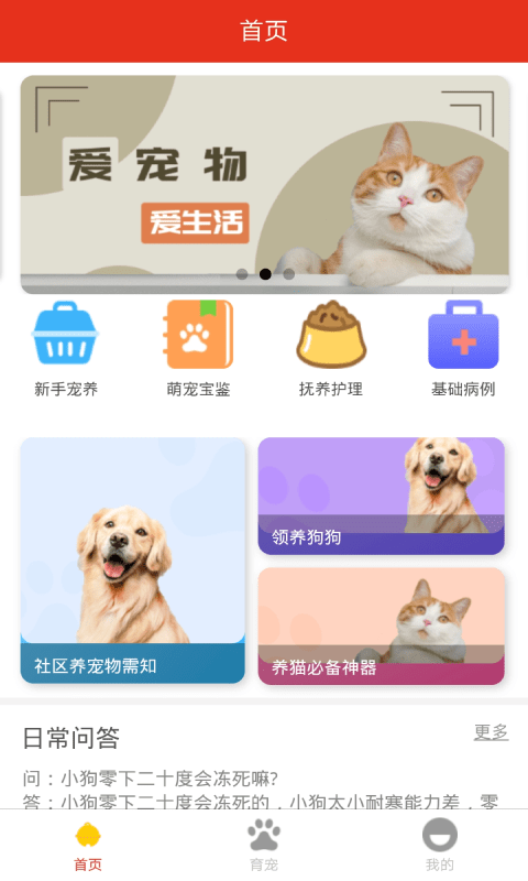 宠物之家截图1