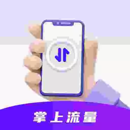 掌上流量