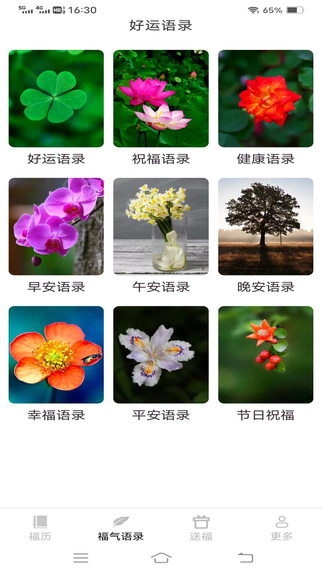灯笼送福截图2