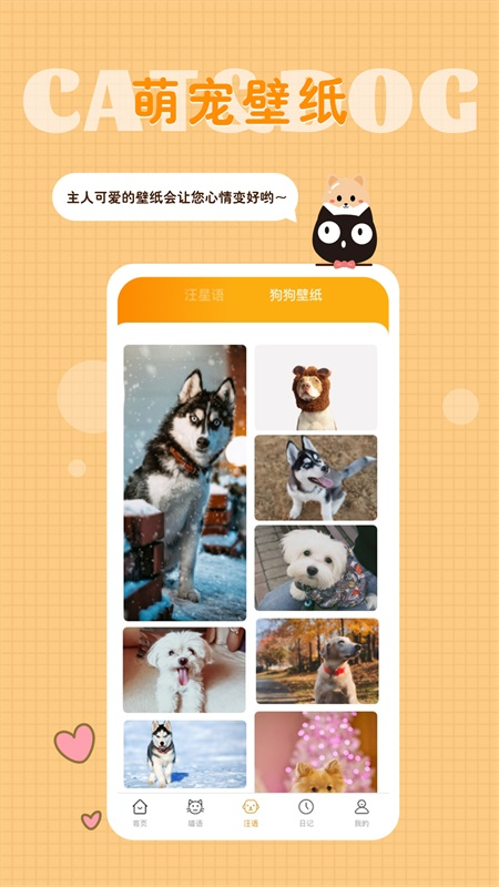 猫语狗语转换器截图5