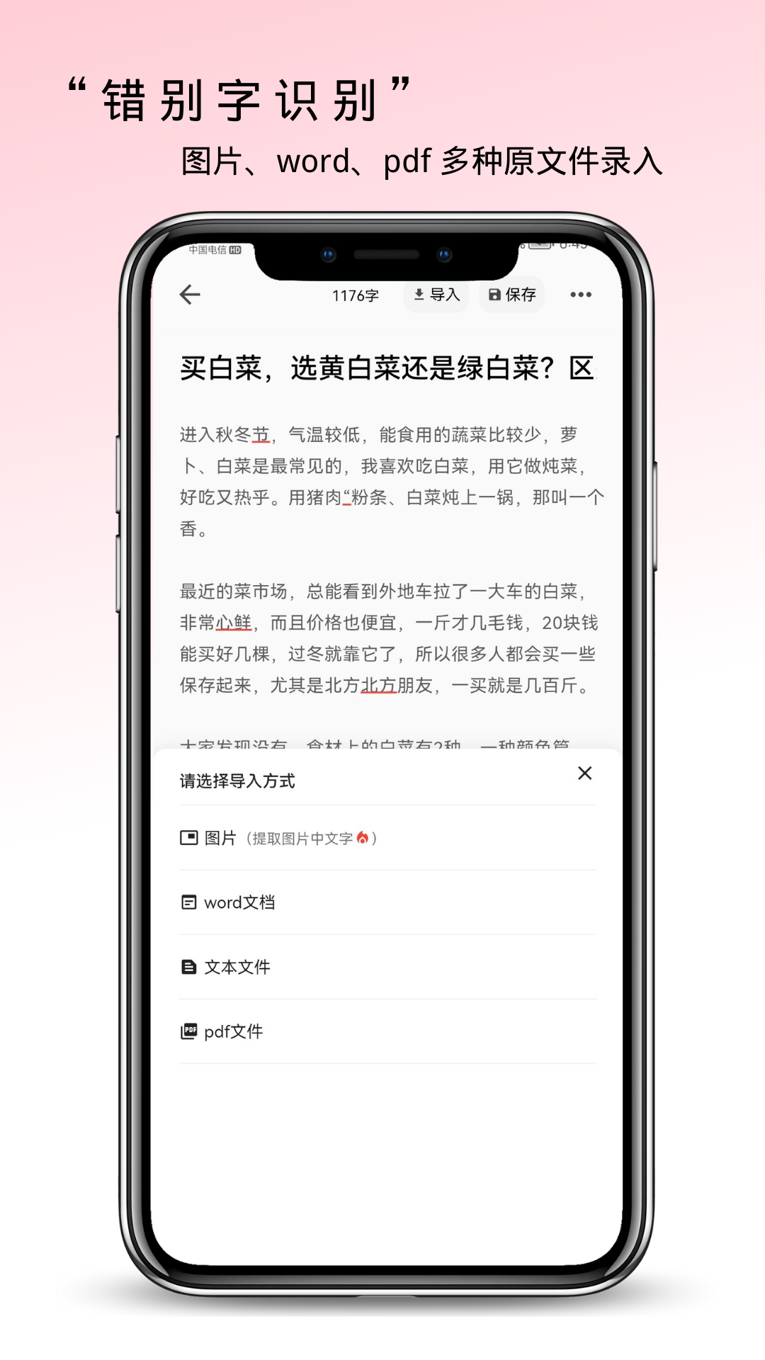 错别字检查截图2