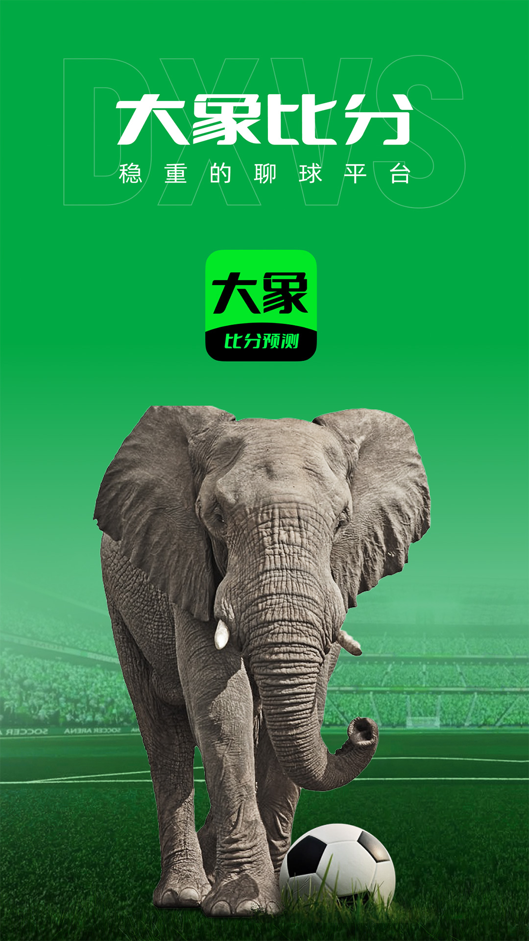 大象比分截图1