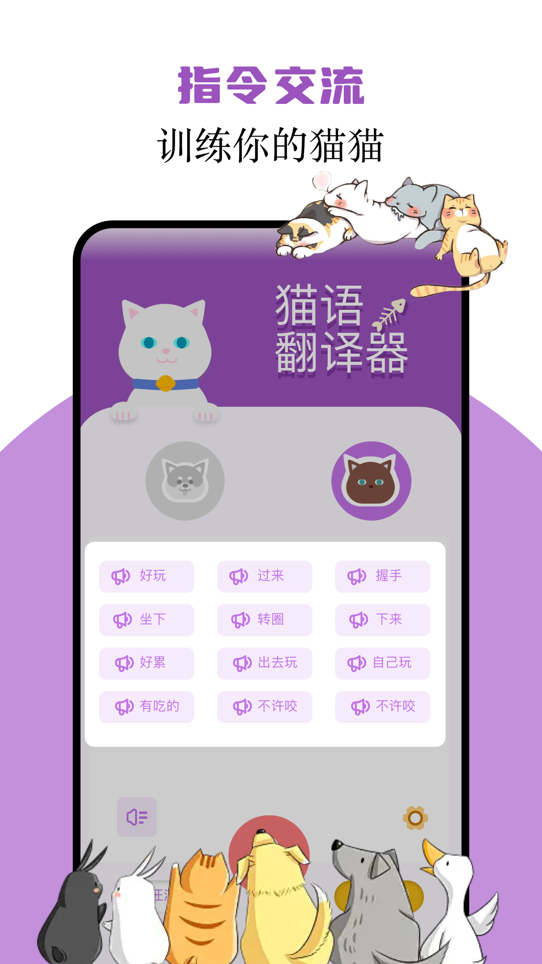 猫语翻译君截图2