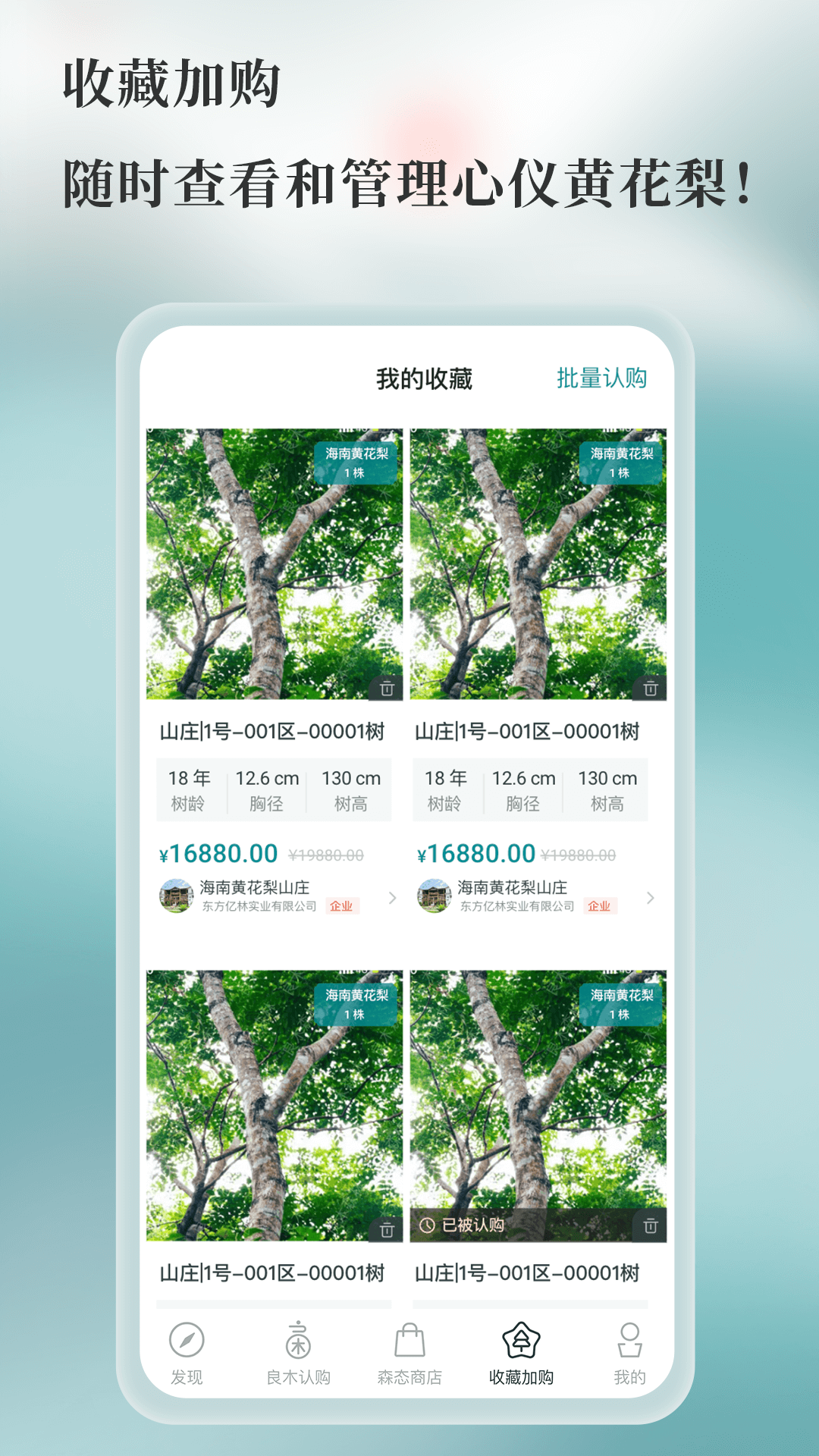 良木森林截图4
