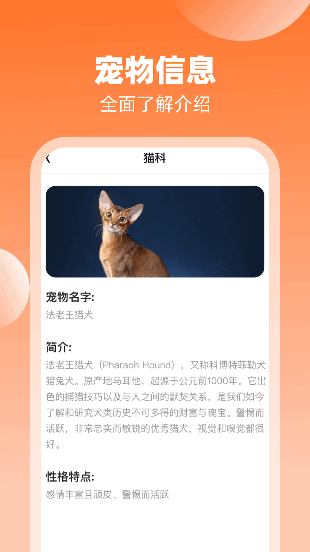 光影爱看截图2