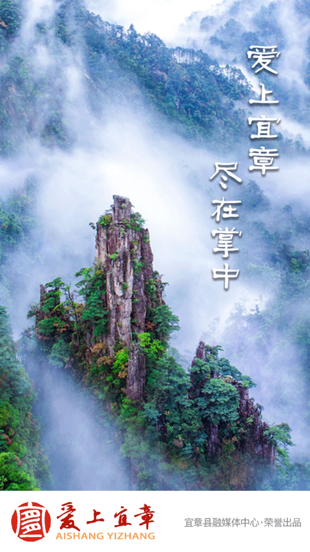 爱上宜章截图1